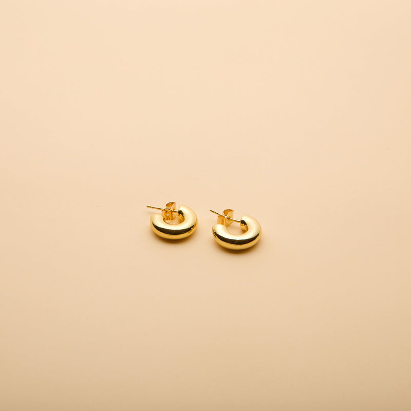 Mini Hoop Earrings